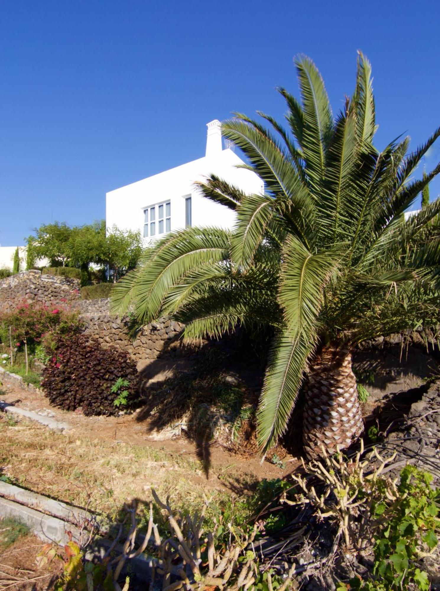 Casa La Brena La Palma Villa Brena Baja Luaran gambar